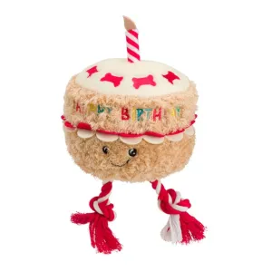 Birthday Cake With Rope Dog Toy