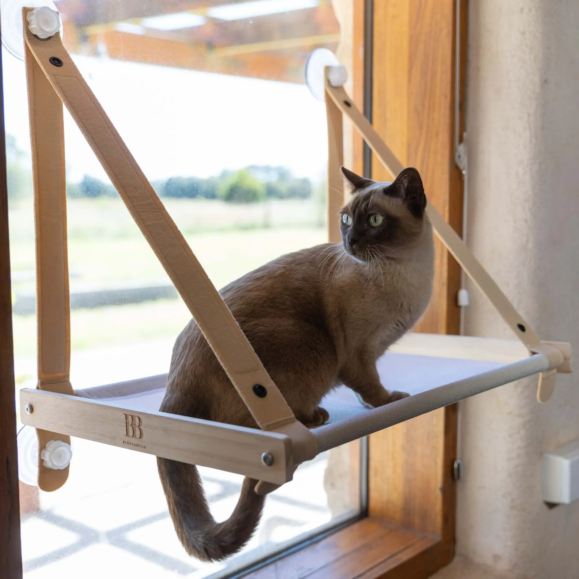 Buddy & Belle Cat Window Perch