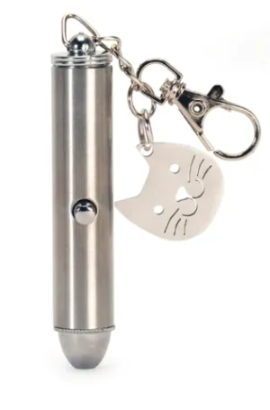 Cat Laser Pointer