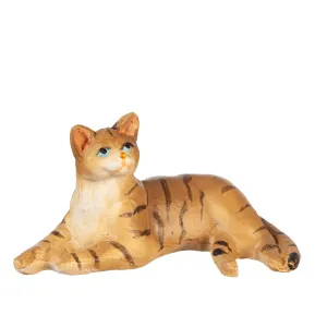Cat, Laying, Brown Tabby