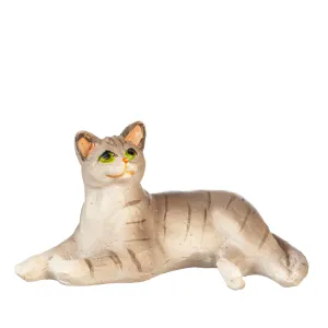 Cat, Laying, Grey Tabby