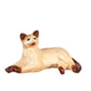 Cat, Laying, Siamese