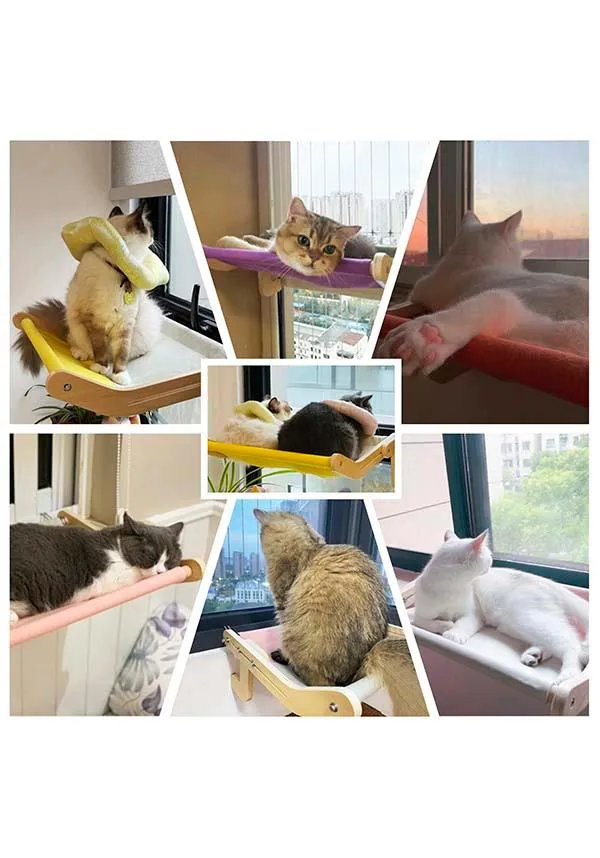 Cat [Orange] | WINDOW PERCH