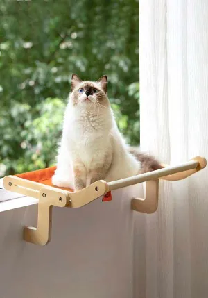 Cat [Orange] | WINDOW PERCH
