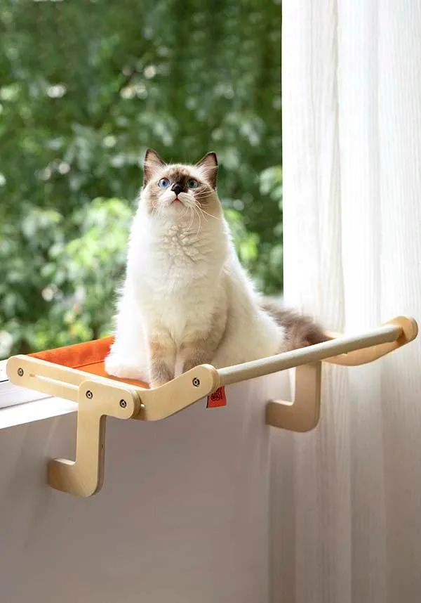 Cat [Orange] | WINDOW PERCH