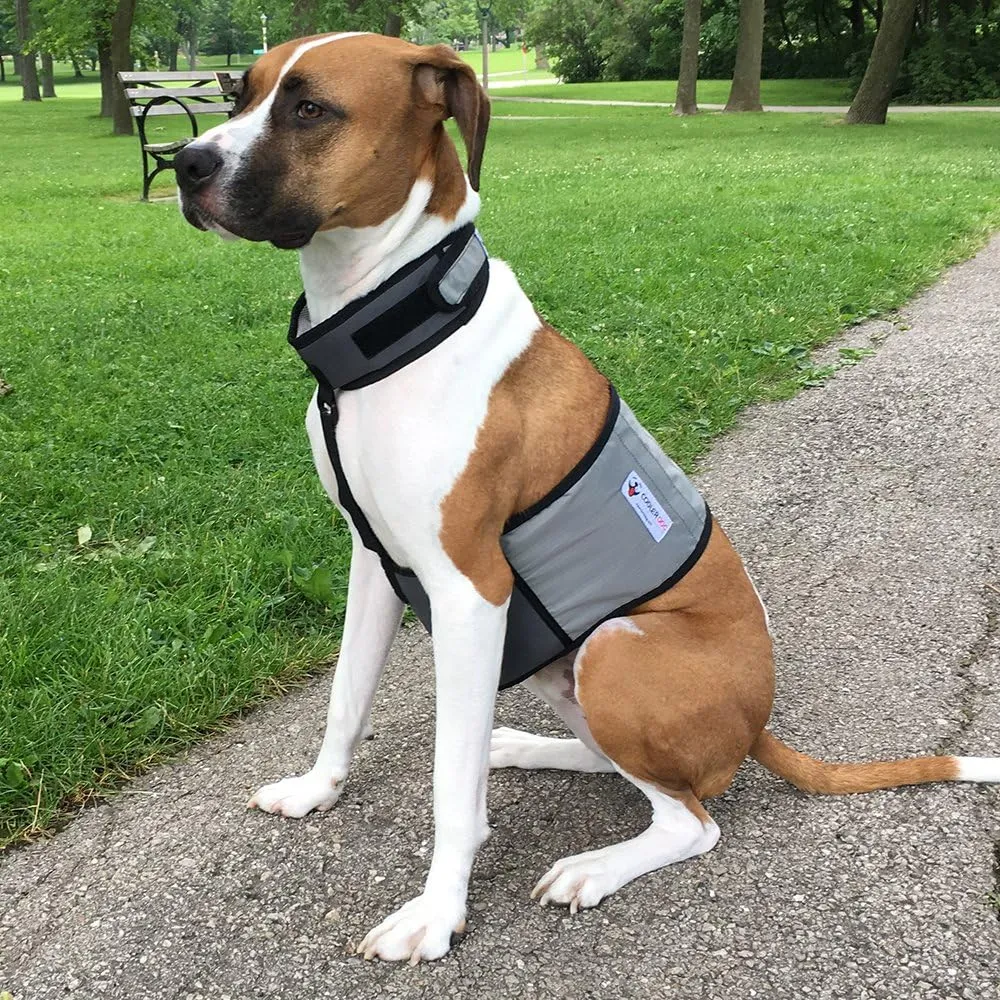 Dog Cooling Vest and Cooling Collar - Ice Vest for Dogs Medium (22" to 27" Girth)