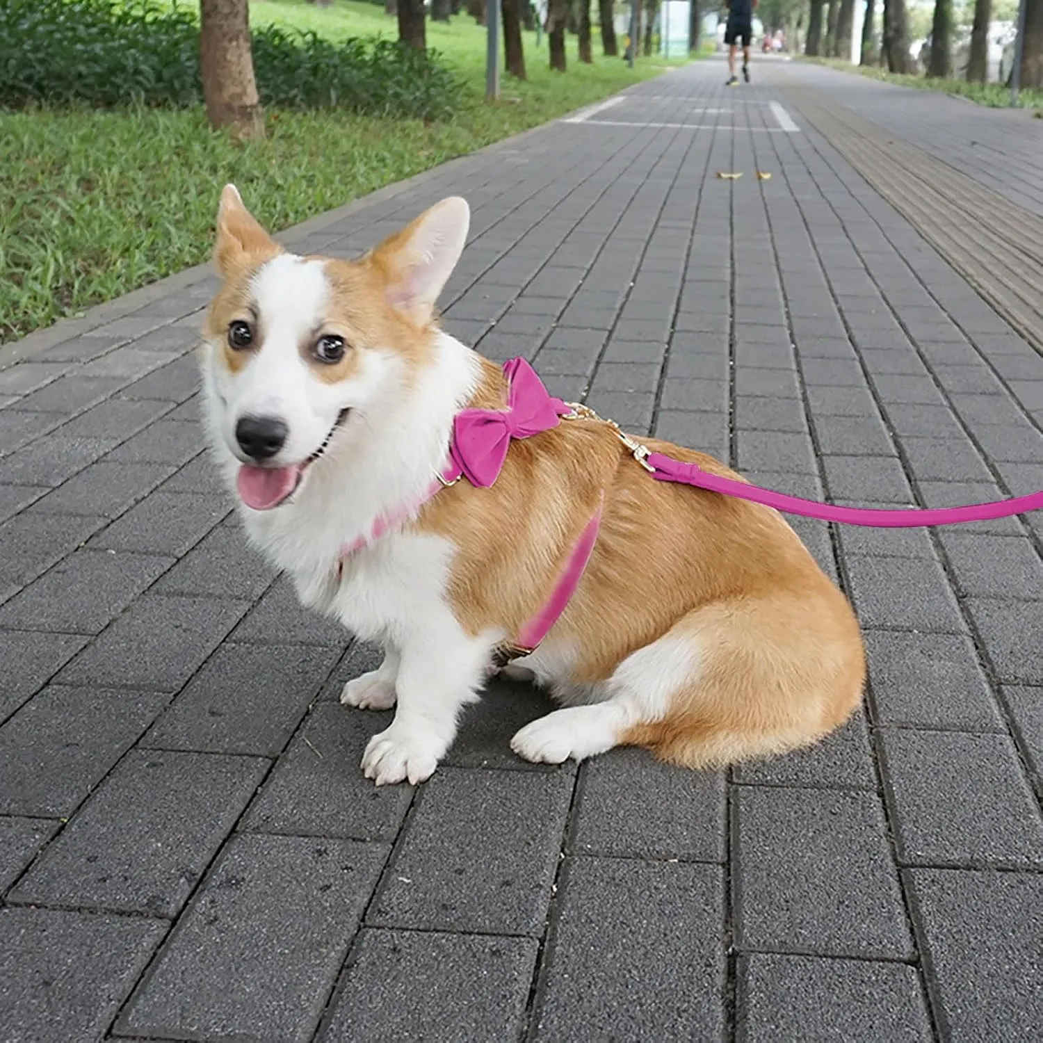 Dog Harness and Leash Set for Medium Dogs with Handle, Adjustable Pet Vest Harness with Leash for Wedding Birthday Party Outfit M