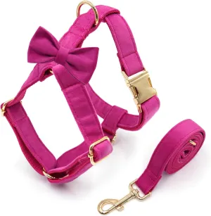 Dog Harness and Leash Set for Medium Dogs with Handle, Adjustable Pet Vest Harness with Leash for Wedding Birthday Party Outfit M