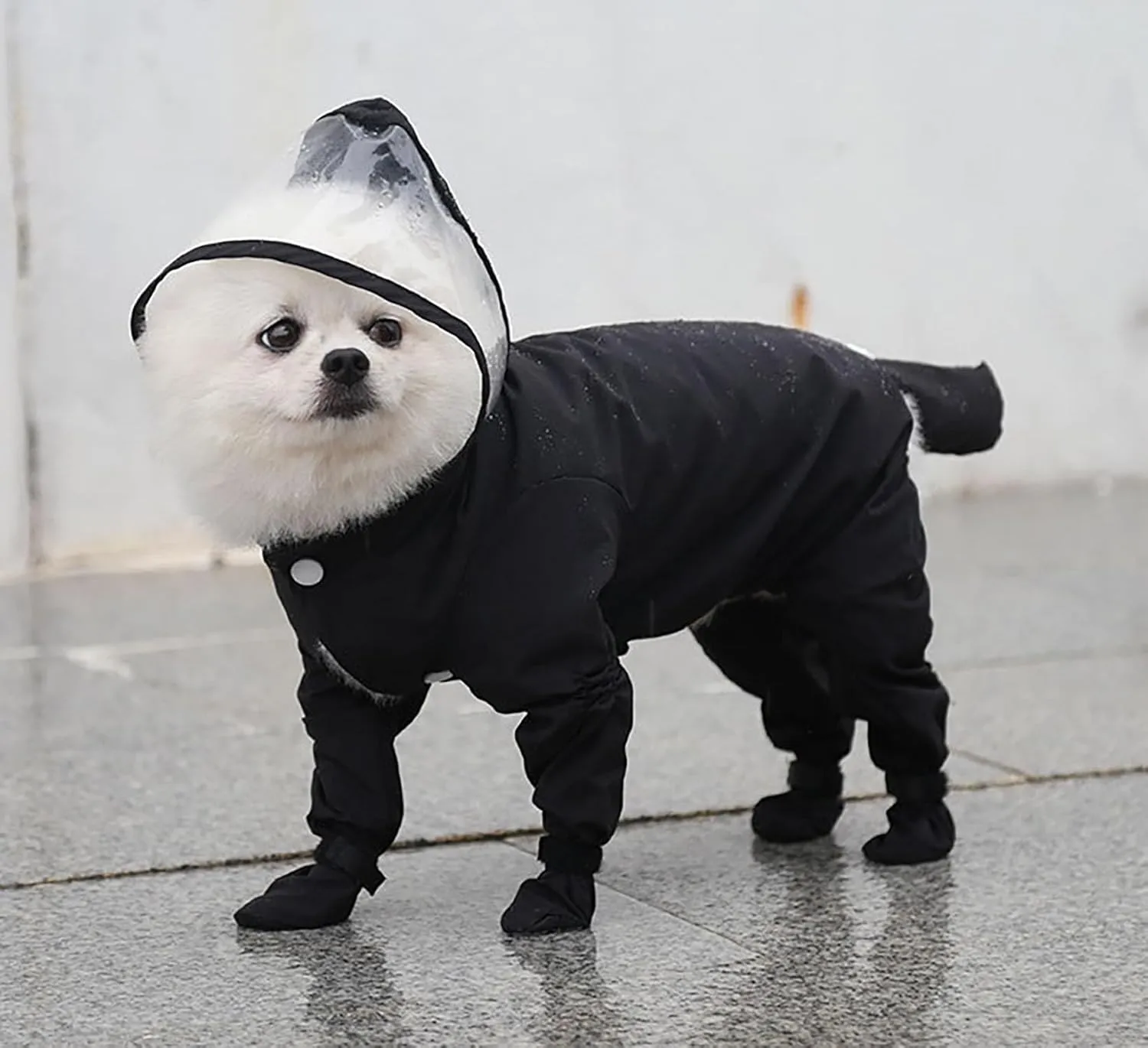 Dog Raincoat with Hood, Waterproof Full-Coverage Reflective Rain Jacket Quick-Drying Rain Poncho and Shoes for Small Medium Large Dogs,Black,S