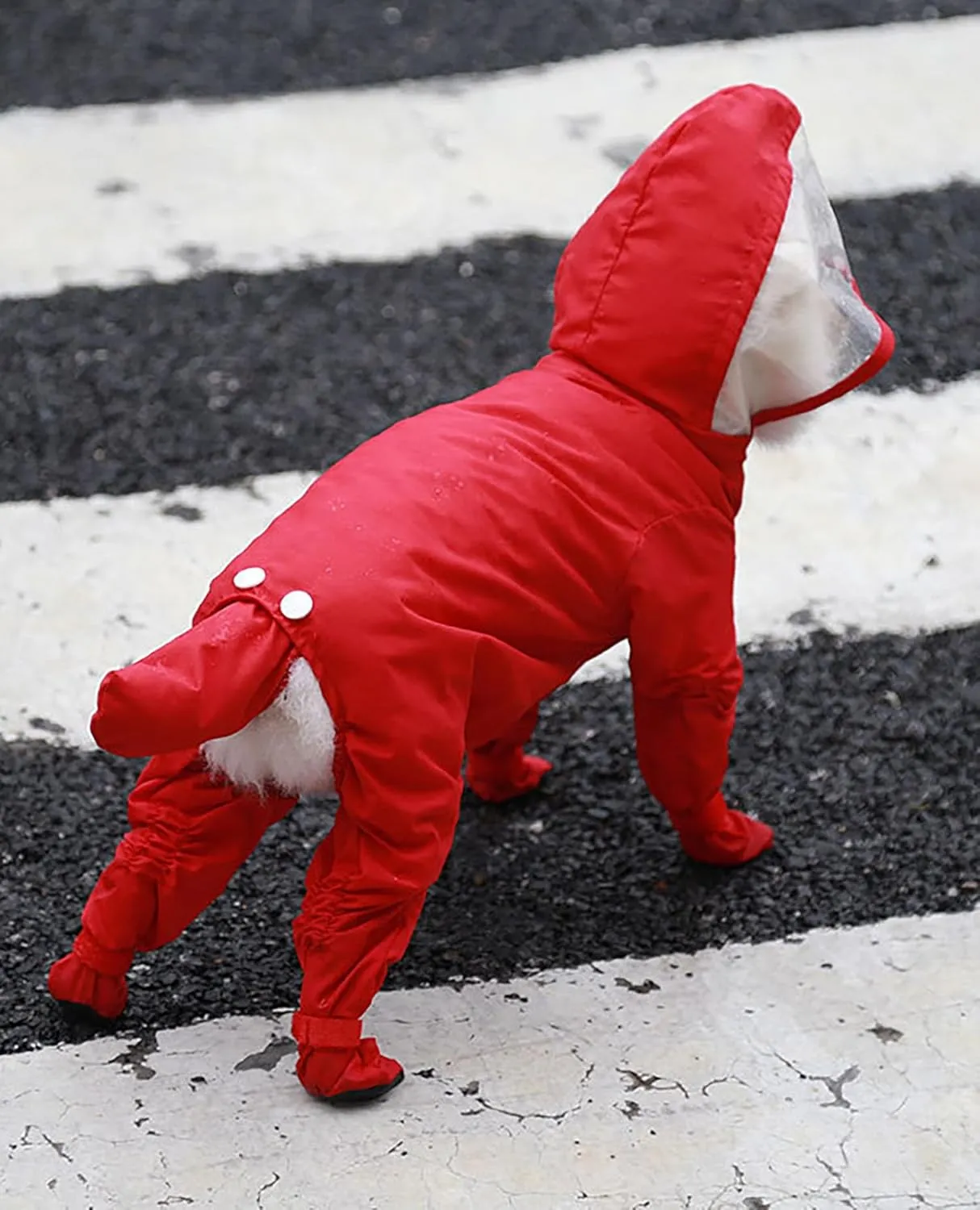 Dog Raincoat with Hood, Waterproof Full-Coverage Reflective Rain Jacket Quick-Drying Rain Poncho and Shoes for Small Medium Large Dogs,Dinosaur,S