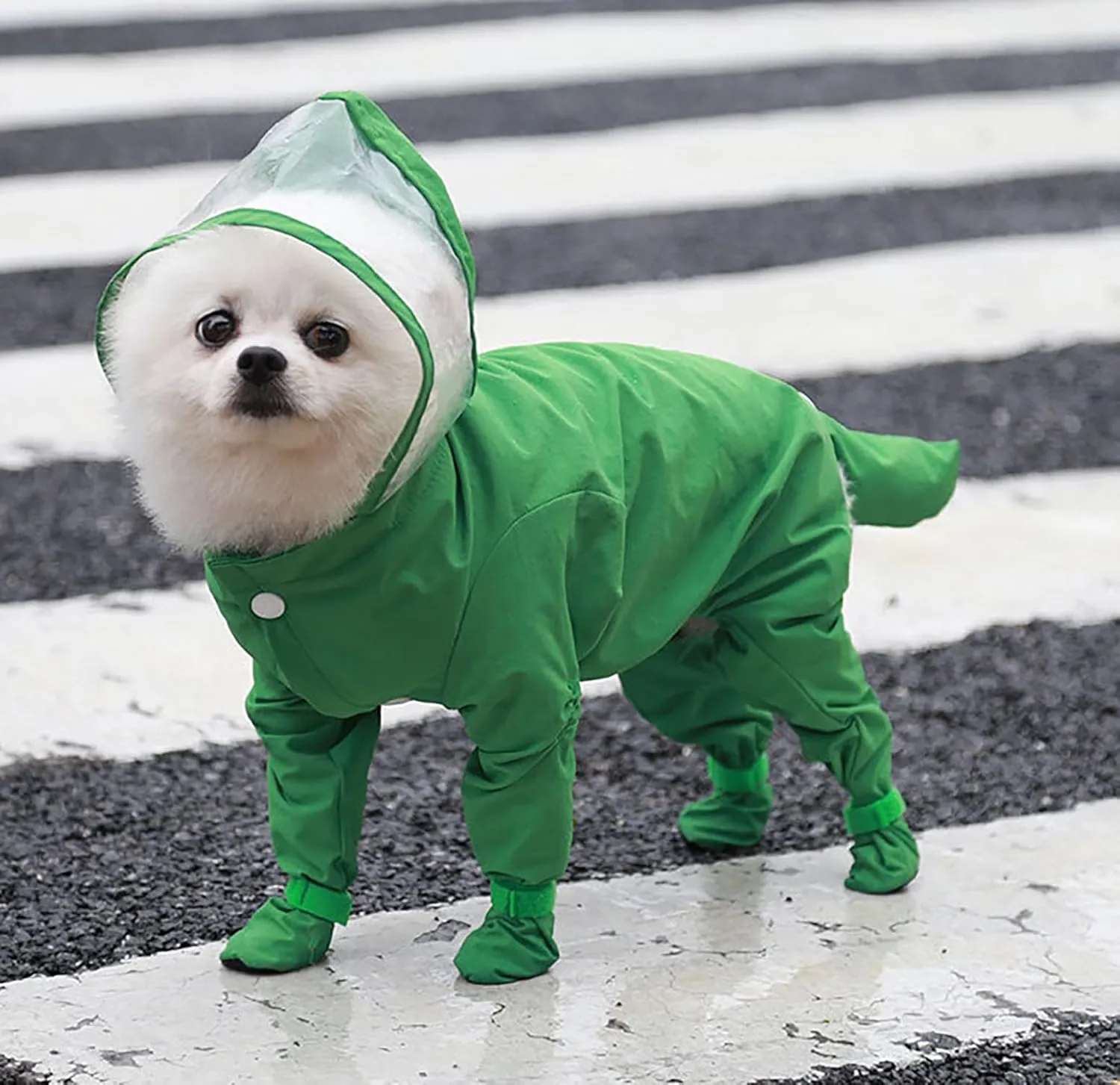 Dog Raincoat with Hood, Waterproof Full-Coverage Reflective Rain Jacket Quick-Drying Rain Poncho and Shoes for Small Medium Large Dogs,Green,S