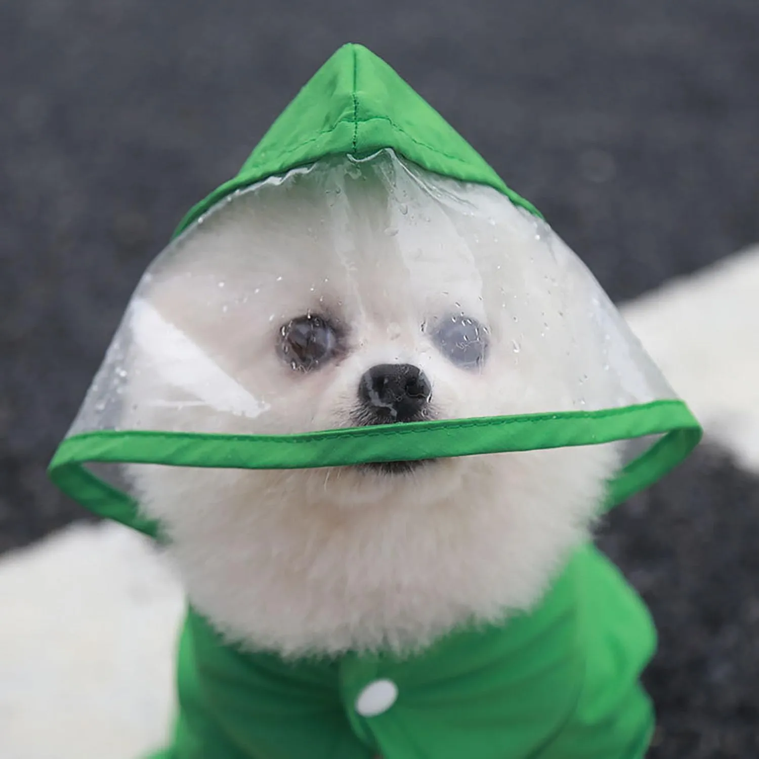 Dog Raincoat with Hood, Waterproof Full-Coverage Reflective Rain Jacket Quick-Drying Rain Poncho and Shoes for Small Medium Large Dogs,Green,S