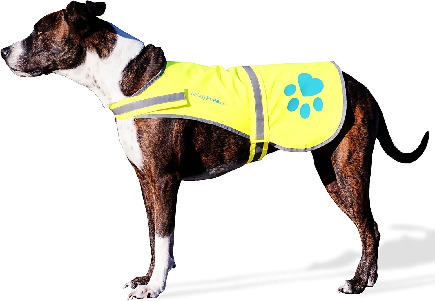Dog Reflective Vest, Sizes to Fit Dogs 14 lbs to 130 lbs - SafetyPUP XD Hi Vis, Safety Vest Keeps Dogs Visible On and Off Leash in Both Urban and Rural Environments X-Large Neon Yellow