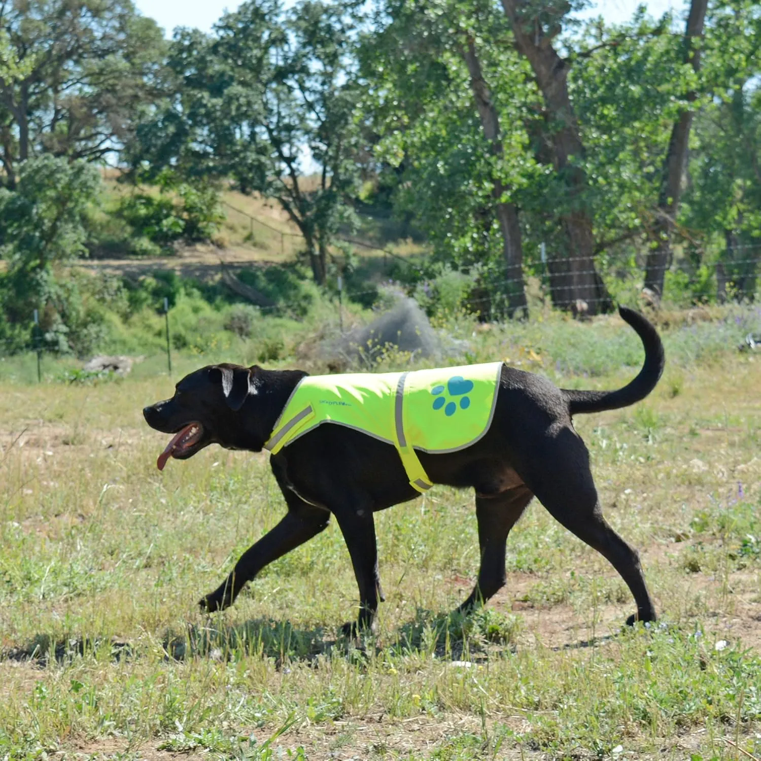 Dog Reflective Vest, Sizes to Fit Dogs 14 lbs to 130 lbs - SafetyPUP XD Hi Vis, Safety Vest Keeps Dogs Visible On and Off Leash in Both Urban and Rural Environments X-Large Neon Yellow