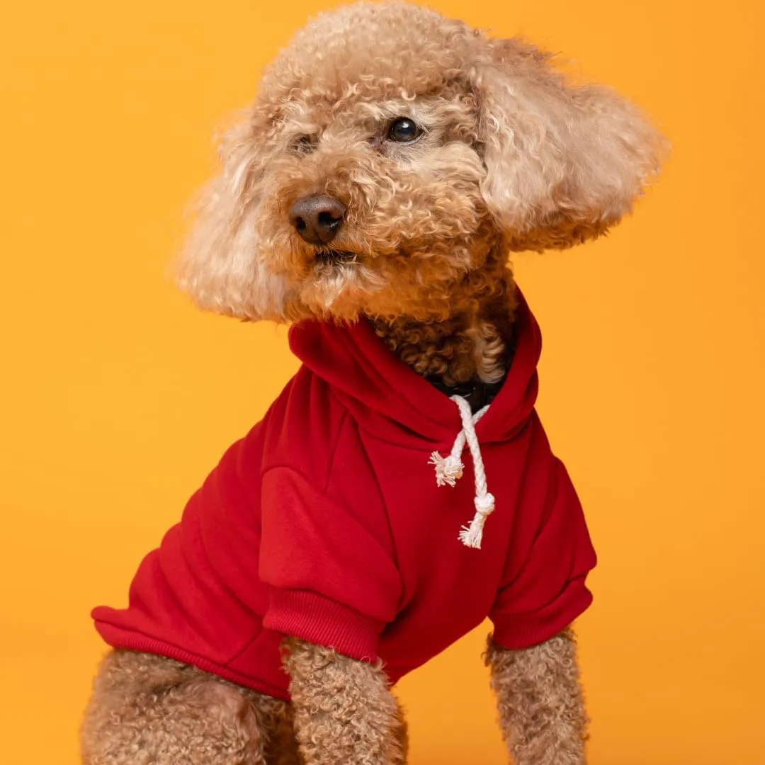 Drinking Buddy St. Patrick's Day Dog Hoodie Fleece Lined Pullover Sweatshirt with Leash Hole (Red, 5X-Large 11)