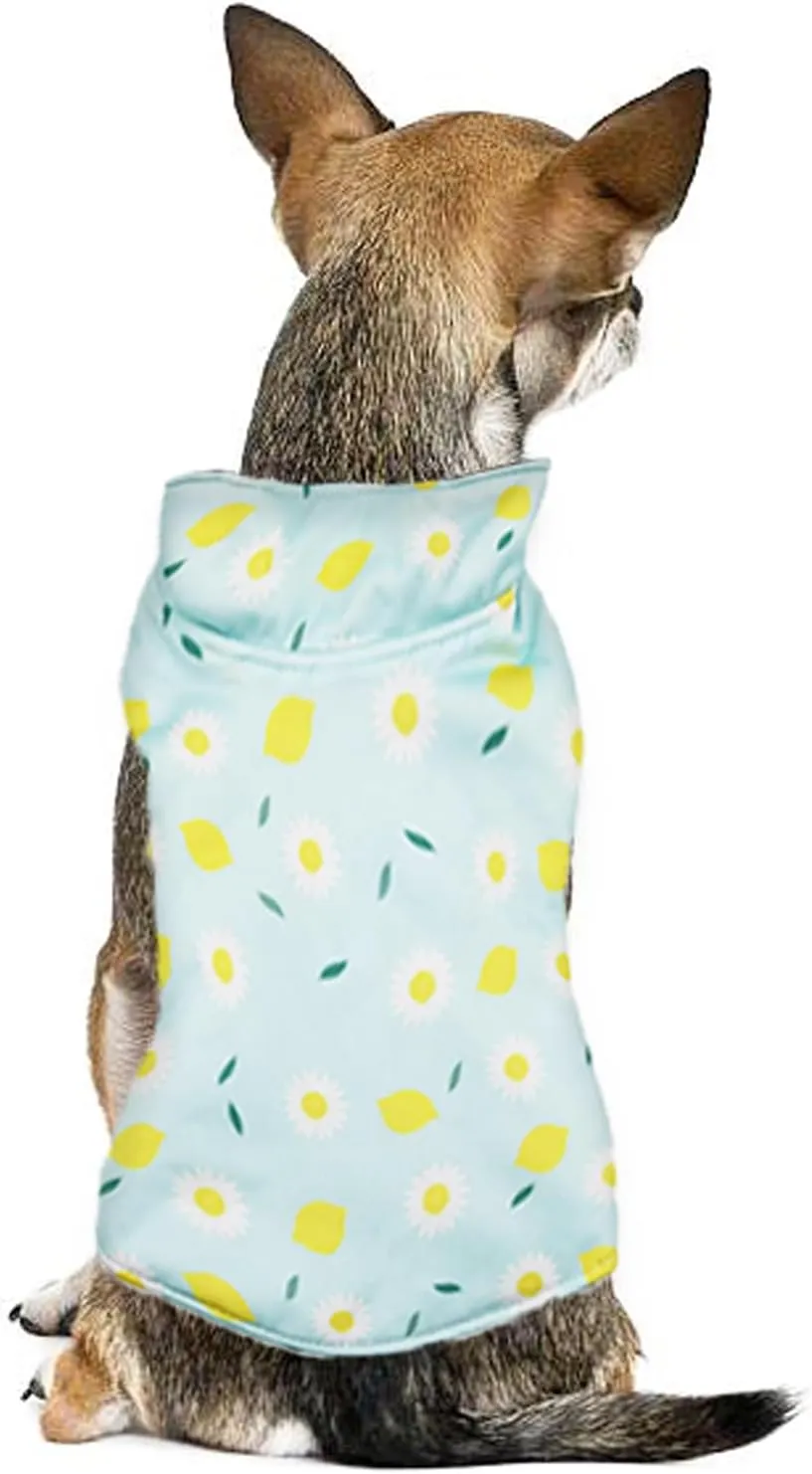 DroolingDog Reversible Dog Jacket - Waterproof Winter Coat for Small, Medium & Large Dogs - Warm, Cozy Snow Jacket Vest