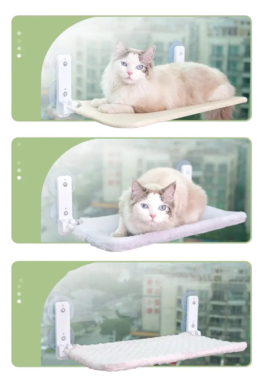 Foldable Hanging Cat Perch w/ Suction | Cat Hammock