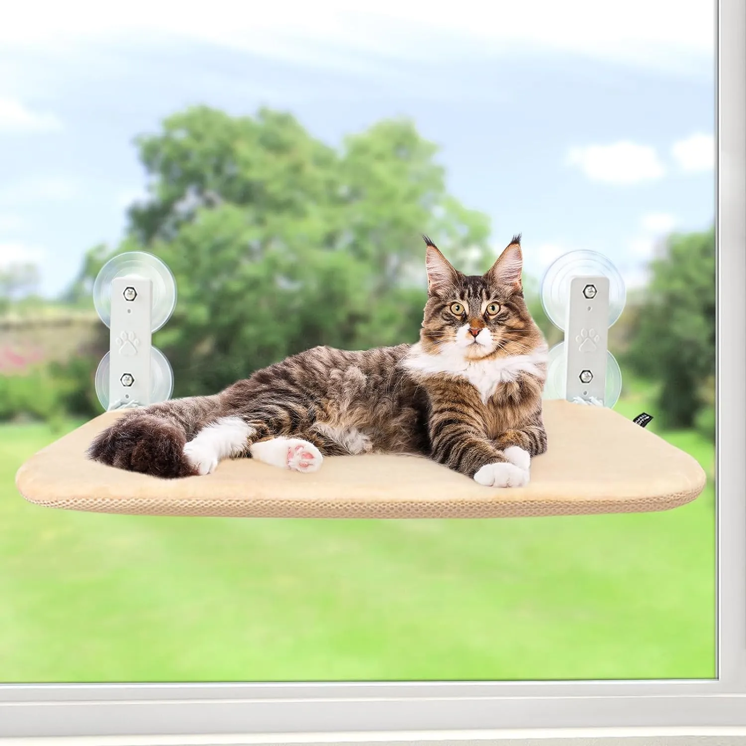 Foldable Hanging Cat Perch w/ Suction | Cat Hammock