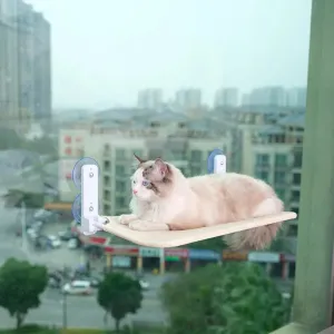 Foldable Hanging Cat Perch w/ Suction | Cat Hammock
