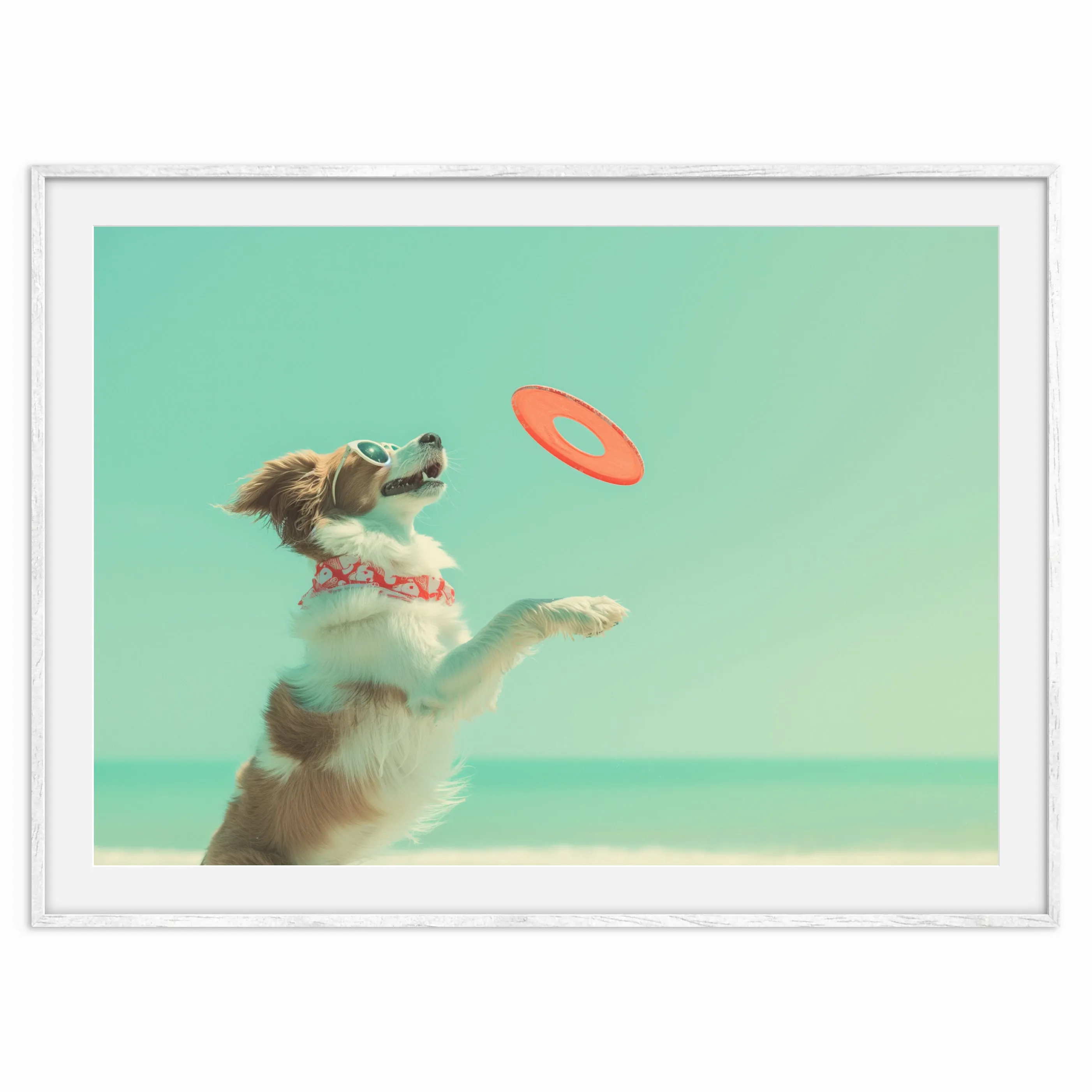 Frisbee Fun