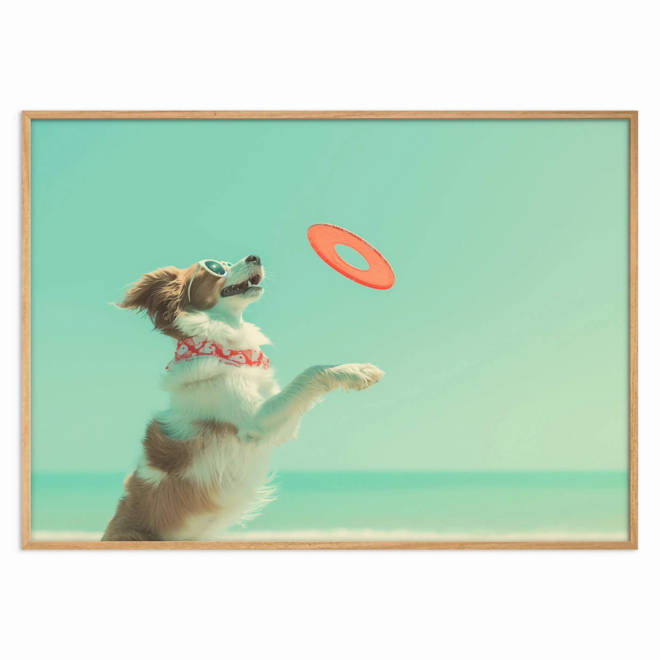 Frisbee Fun