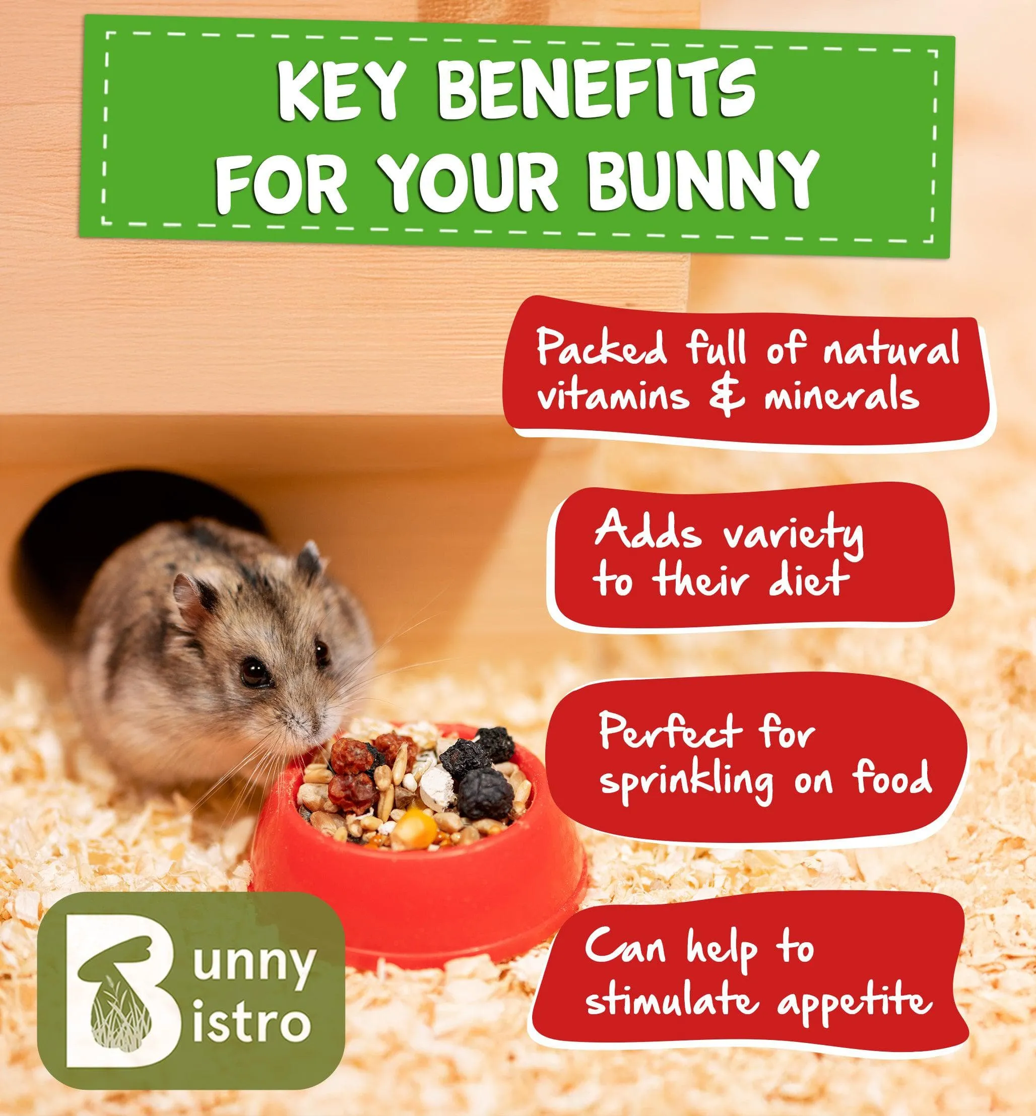Fruit & Seed Hamster Treat