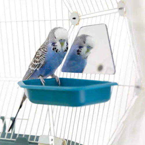 Geo Bird Mirror - Half Hexagon
