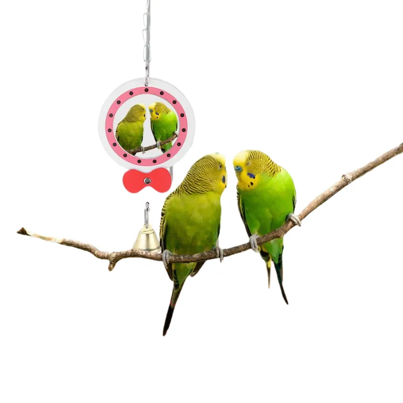 Hanging Bell Mirror Chewing Toy