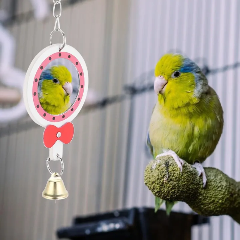 Hanging Bell Mirror Chewing Toy