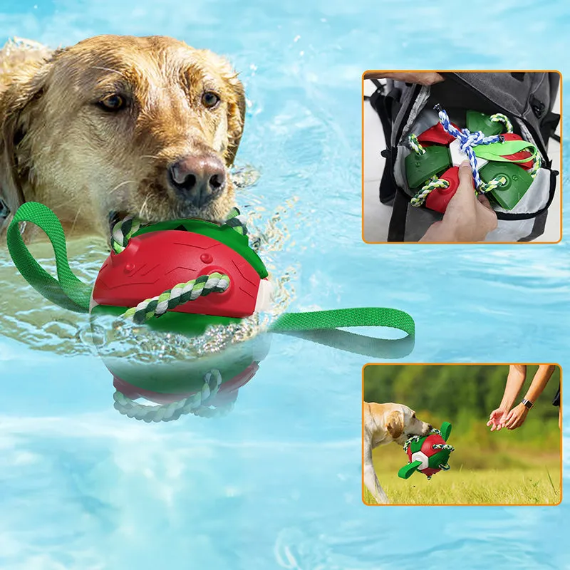 Interactive Training Frisbee Ball Dog Toys