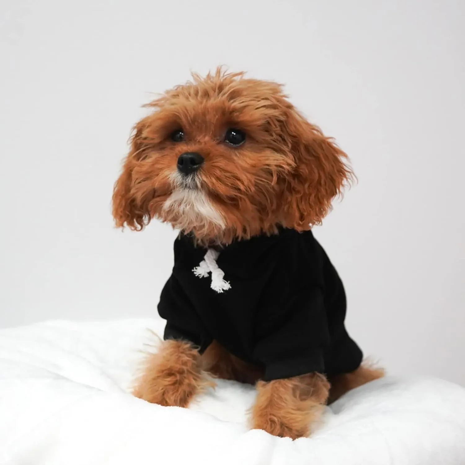 Juneteenth Dog Hoodie Fleece Lined Pullover Sweatshirt with Leash Hole (Black, X-Small 751)