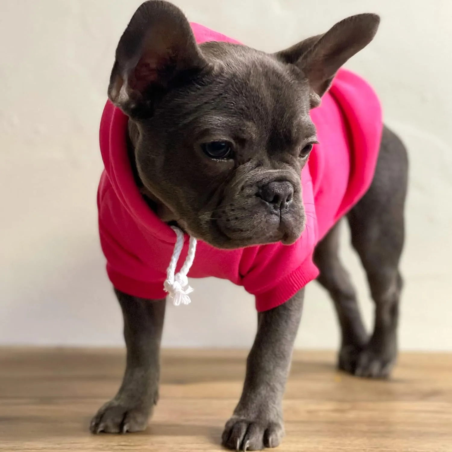 Juneteenth Dog Hoodie Fleece Lined Pullover Sweatshirt with Leash Hole (Black, X-Small 751)