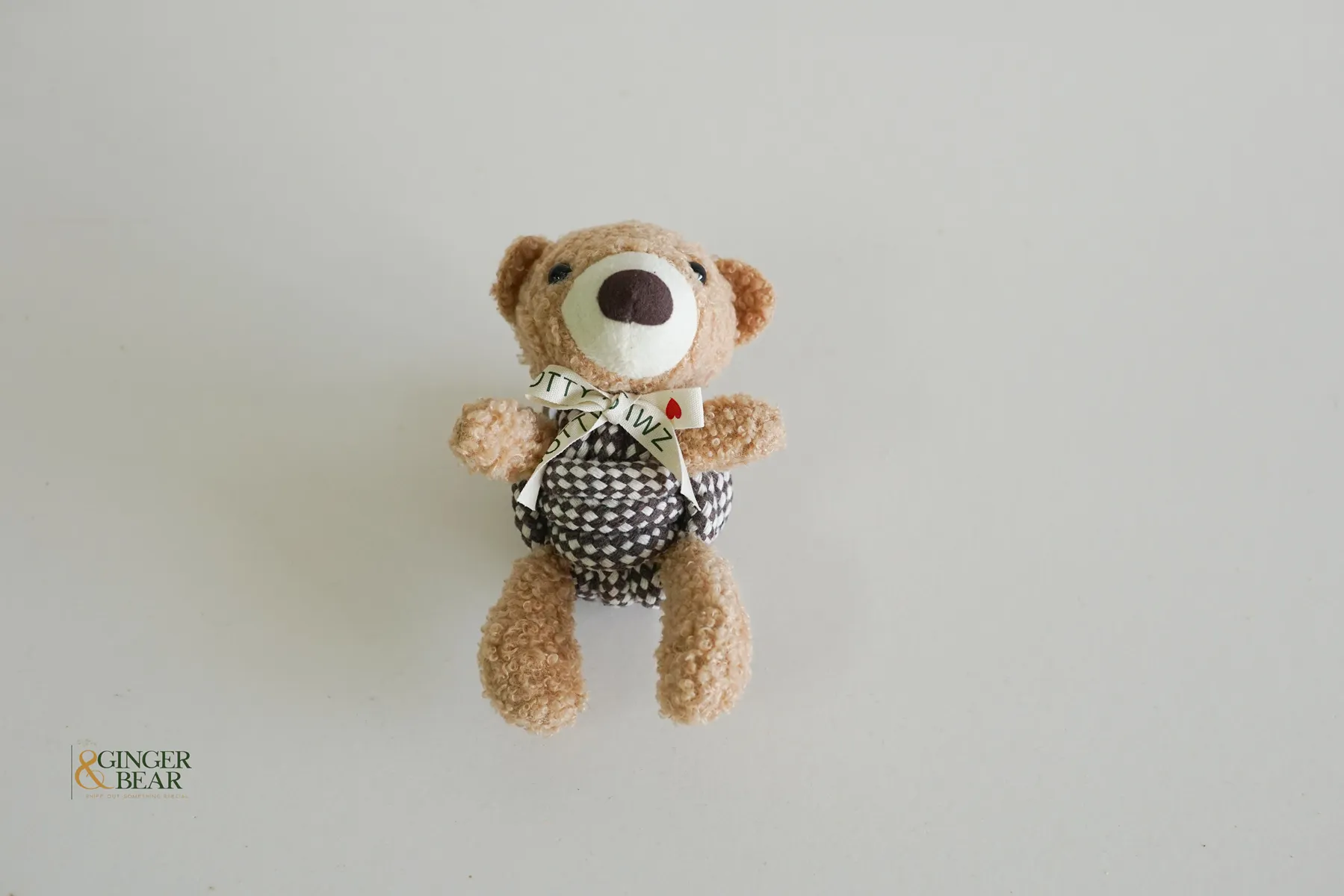 Knotty Squeaky Interactive Rope Dog Toy, Coco the Bear