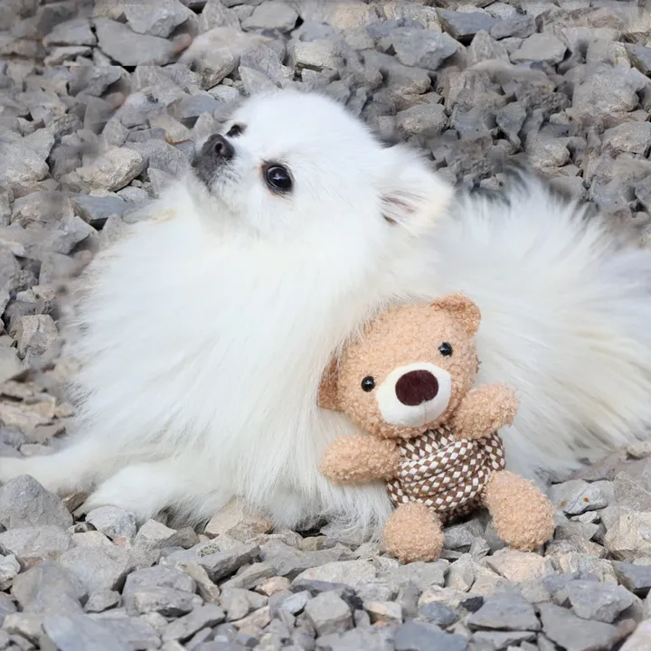 Knotty Squeaky Interactive Rope Dog Toy, Coco the Bear