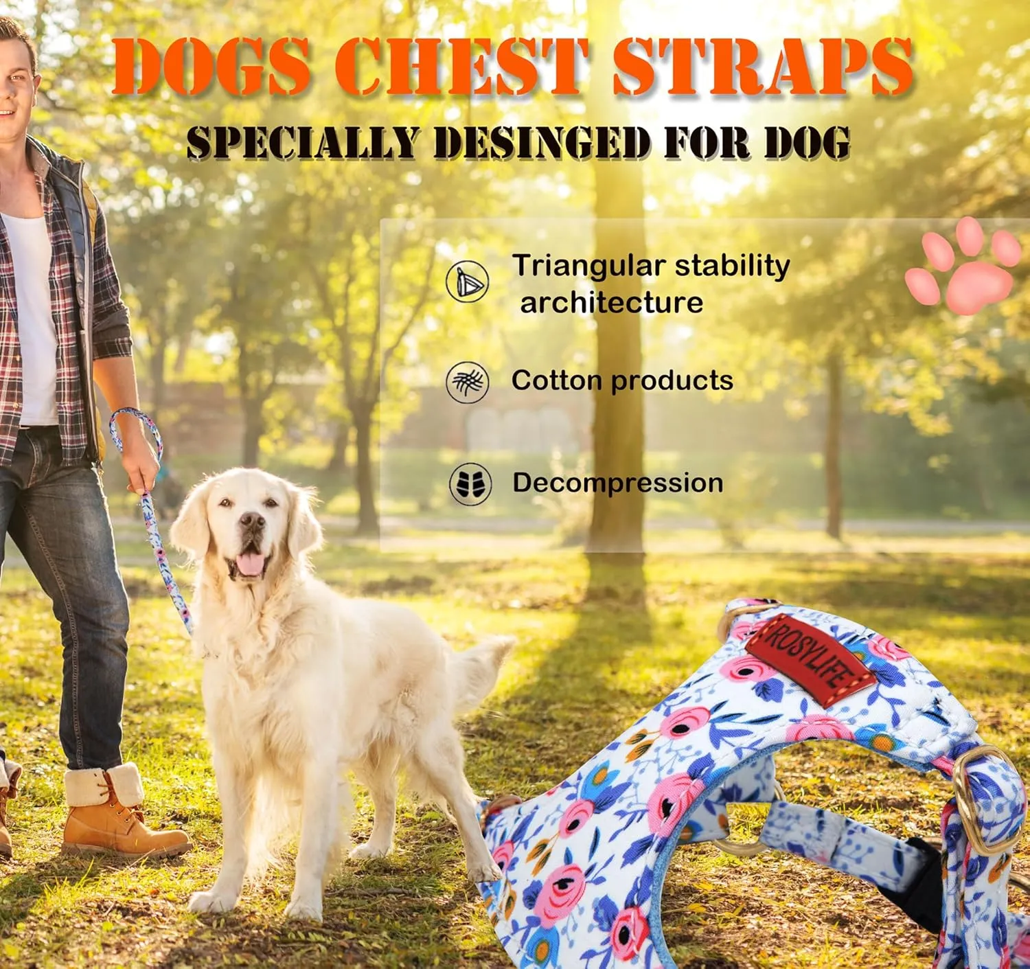 No Pull Dog Harness Adjustable Small Harness and Leash Set, Lightweight and Soft Dog Harness No Choke Escape Proof Pet Harness Vest (Blue Rose, S)