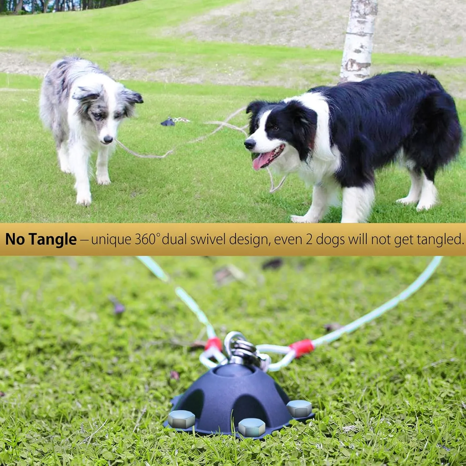 Patented 360 Swivel Dog Tie Out Stake Dog Anchor for Small to Large Dogs Up to 150lbs - Dog Yard Leash Stake with 5 Strong Tether Holds 1000lbs of Pull Force (Stake with 10 Cable)