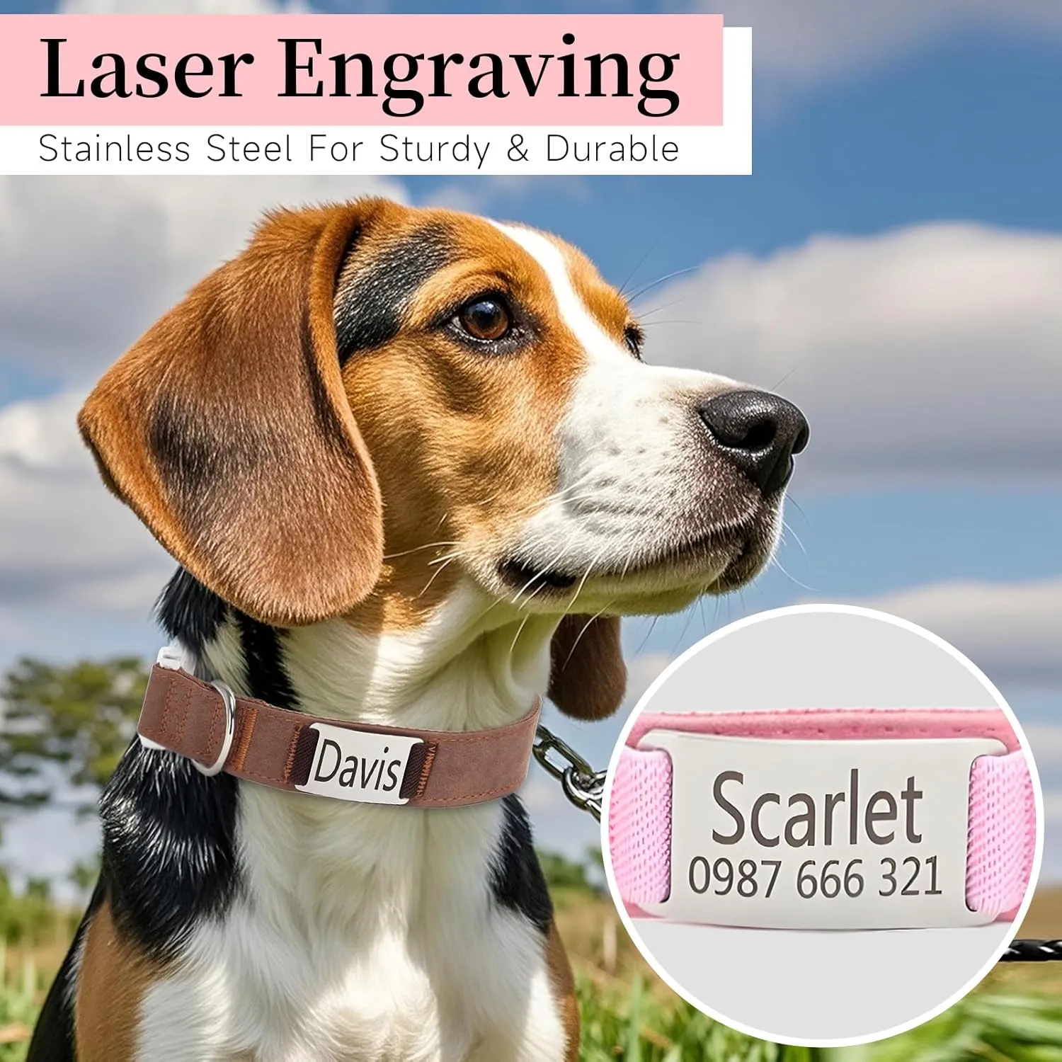 Personalized Dog Collars with Name Tag, Custom Dog Collar Engraved Slide On Pet ID Tag | Adjustable Pet Collars with Silent Metal Plate for Large/Medium/Small Dogs