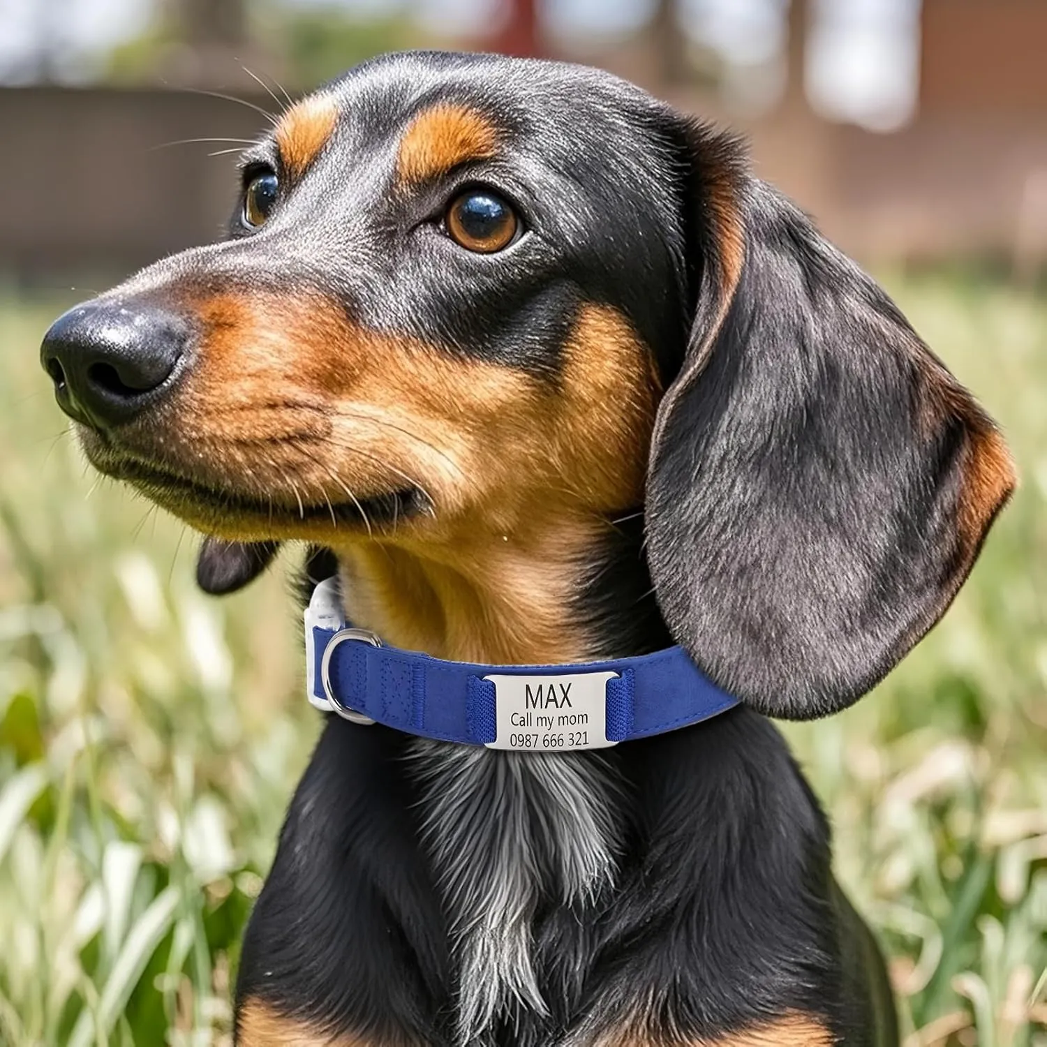 Personalized Dog Collars with Name Tag, Custom Dog Collar Engraved Slide On Pet ID Tag | Adjustable Pet Collars with Silent Metal Plate for Large/Medium/Small Dogs