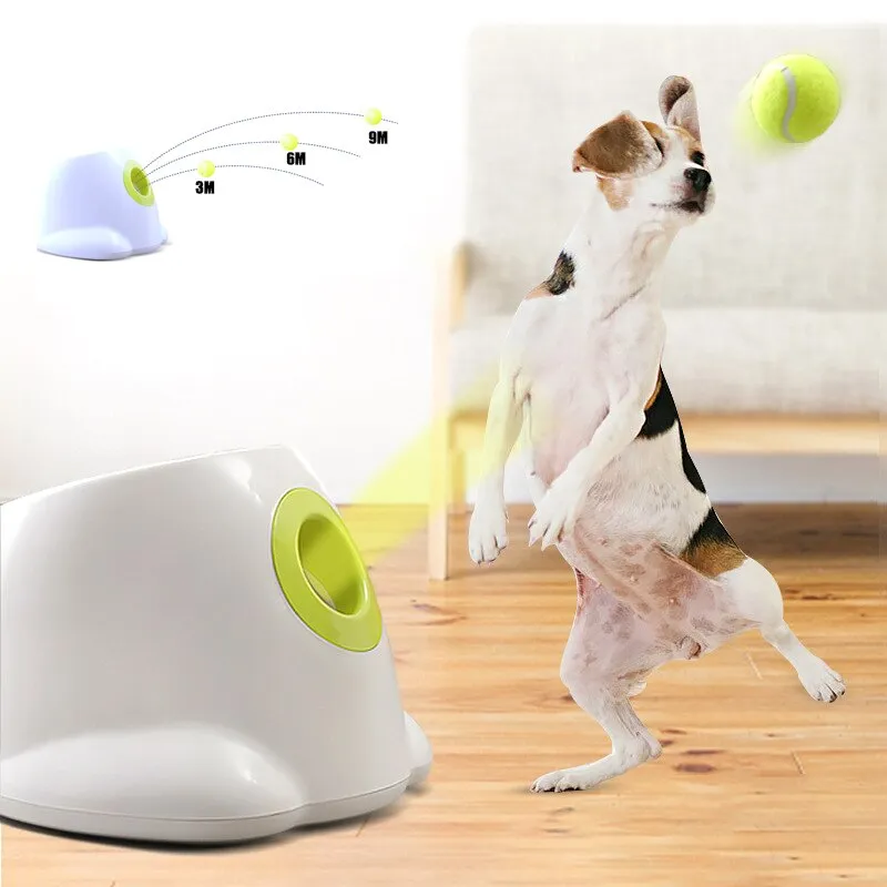 pet Tennis Launcher