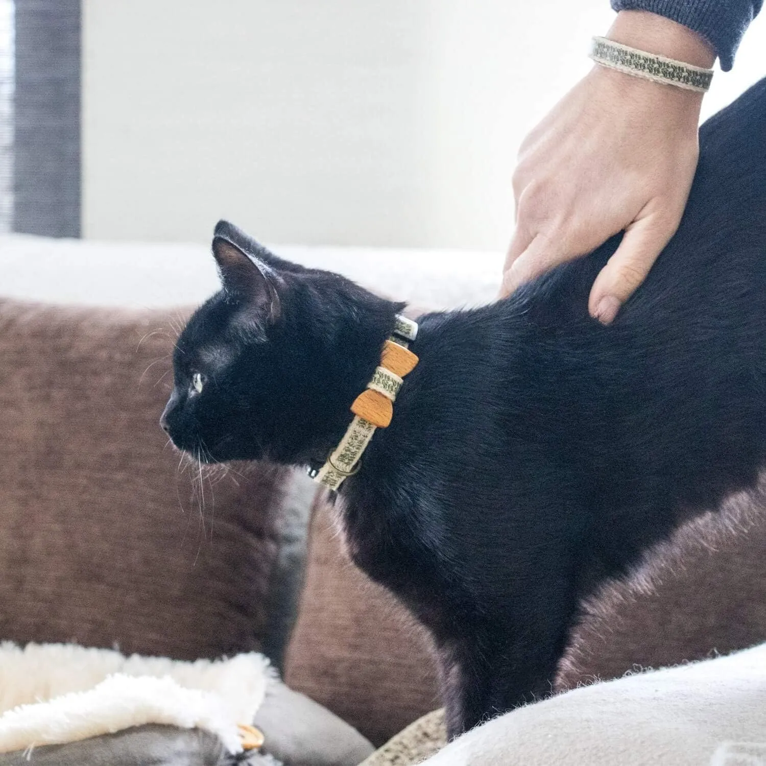 Pettsie Breakaway Cat Collar with Bow Tie and Matching BraceletAdjustable Cotton Kitten Collar with Safety Buckle for Cats and Small PetsCute Cat Gift for Owners and Cat Lovers, 8-11 Inches, Black