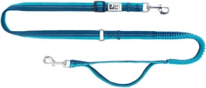 RC Pets Bungee Active Dog Leash, Hands-Free 4-in-1 Dog Leash, Arctic Blue/Teal