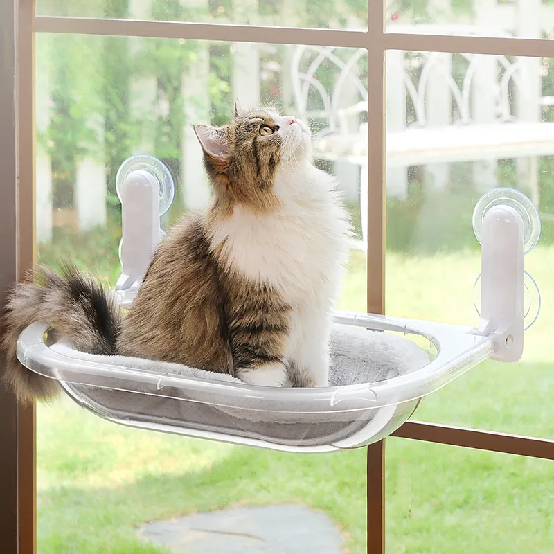 Space Capsule Transparent Cat Bed