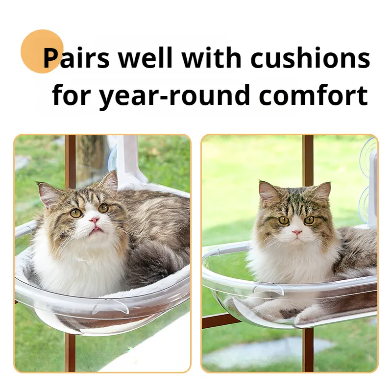 Space Capsule Transparent Cat Bed