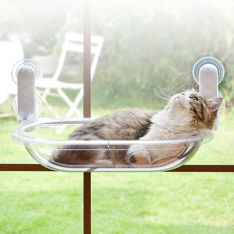 Space Capsule Transparent Cat Bed
