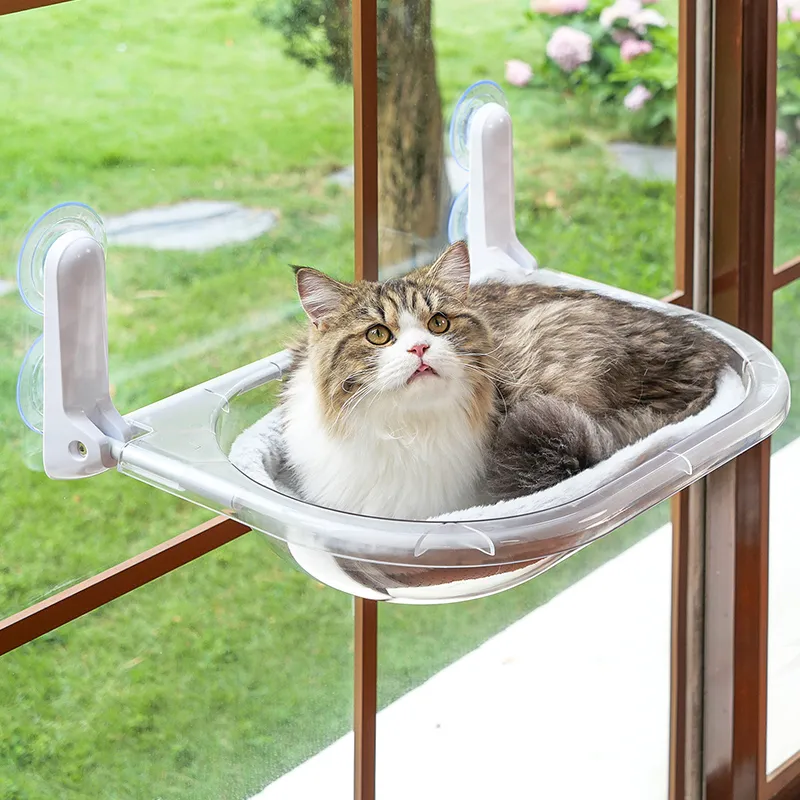 Space Capsule Transparent Cat Bed