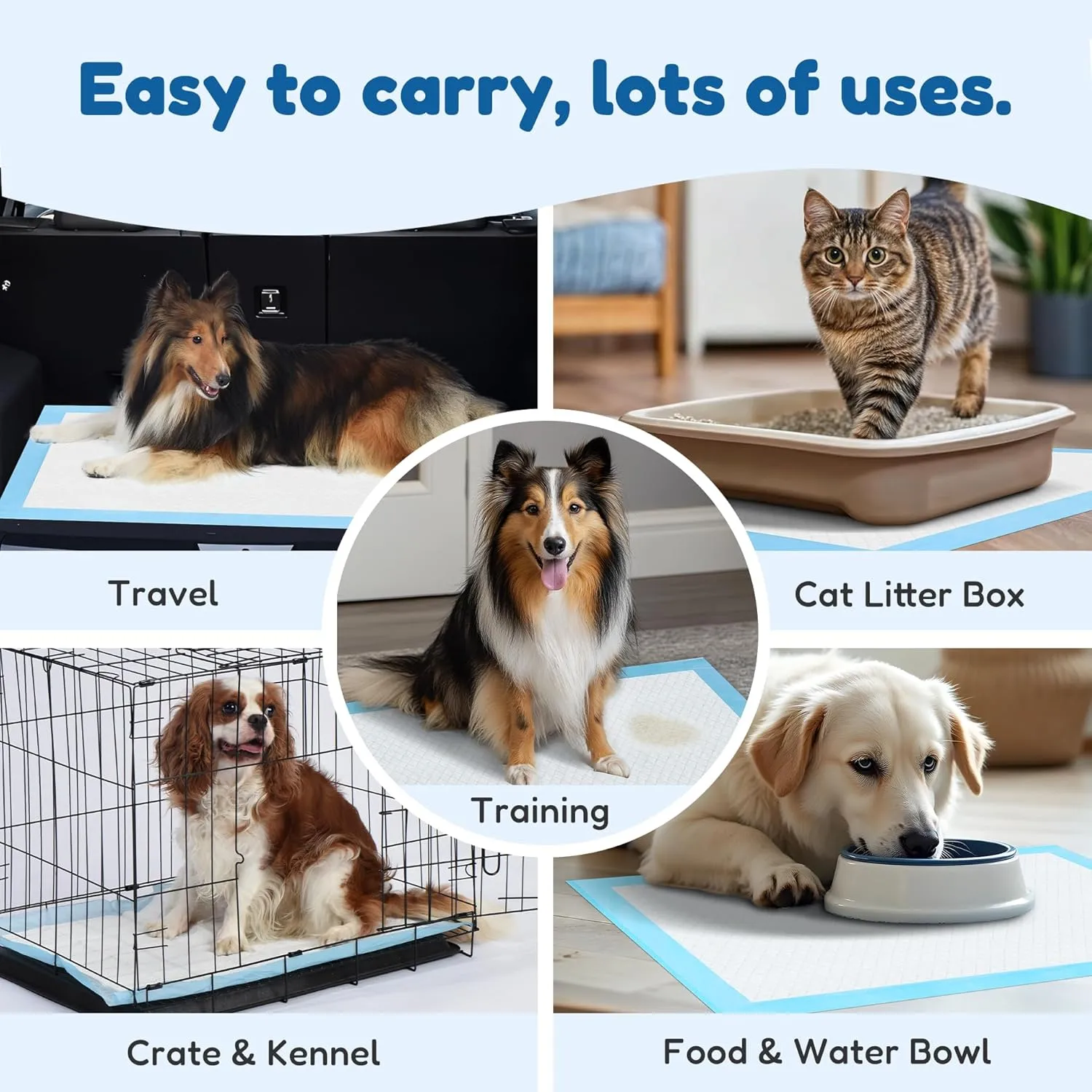 Super Absorbent Waterproof Dog and Puppy Pet Training Pad, Housebreaking Pet Pad, 50-Count Extra Middle-Size, 28X34, Blue