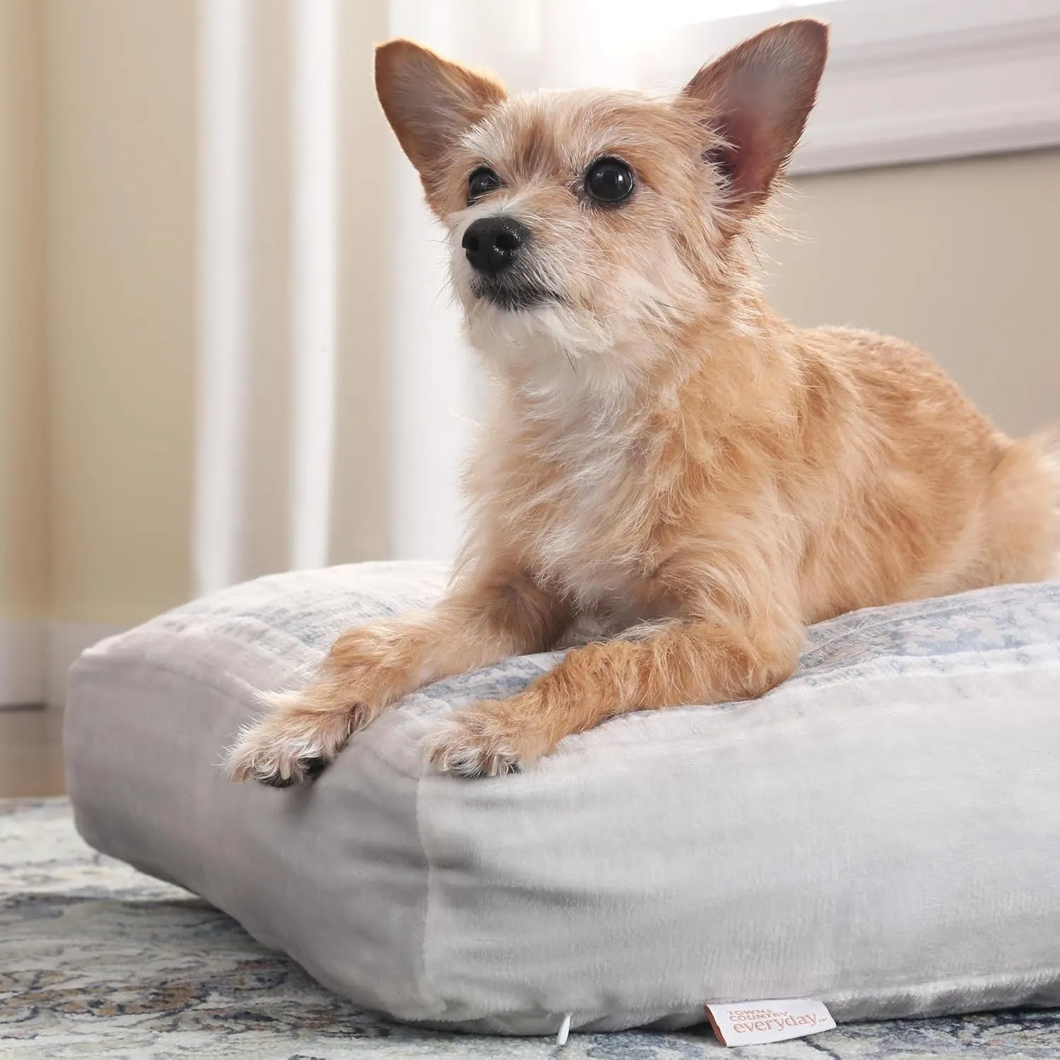 TOWN & COUNTRY EVERYDAY CuddleTown Medallion Everwash Pillow Pet Bed, Water Repellent Floor Pillow, Machine Washable Cover, Soft & Calming, Blue/Greige, Medium 36"x28"x4"