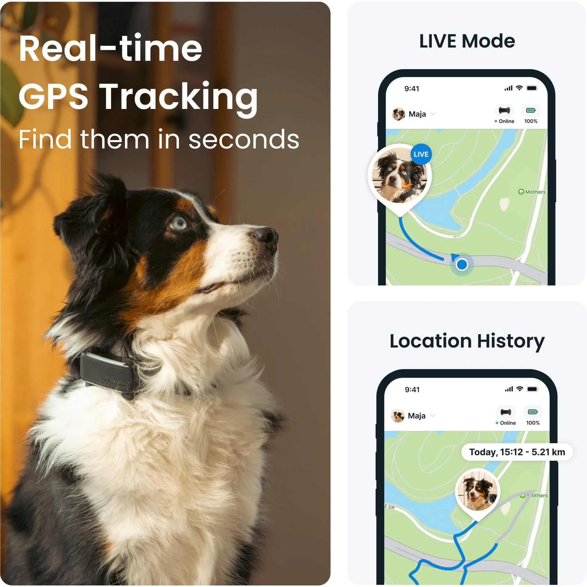 Tractive GPS Tracker Dog 6 (Black)