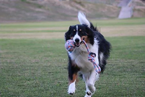 XL DOG ROPE TOYS FOR AGGRESSIVE CHEWERS - LARGE DOG BALL FOR LARGE AND MEDIUM DOGS - BENEFITS NON-PROFIT DOG RESCUE - LARGE FLOSS ROPE FOR DOGS DENTAL HEALTH - 100% COTTON ROPE TOY FOR LARGE DOGS